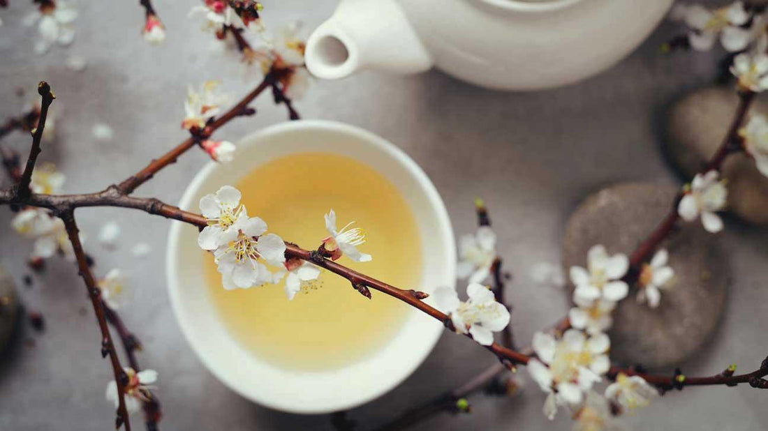 What is White Tea? What is White Persian Melon Tea? - Basket Leaf